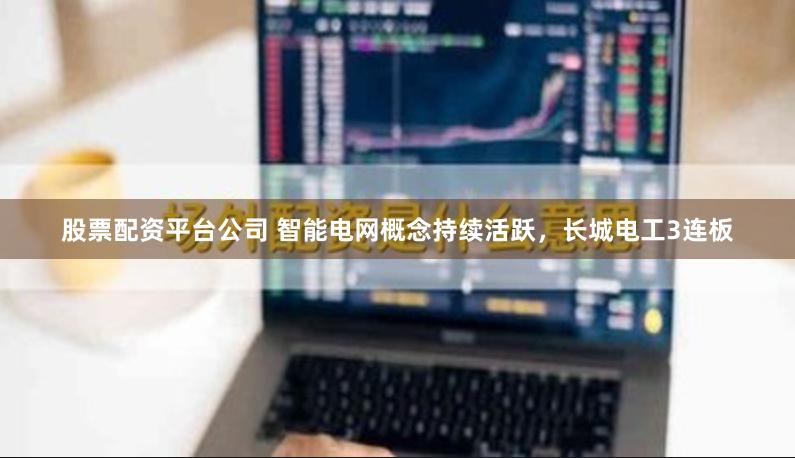 股票配资平台公司 智能电网概念持续活跃，长城电工3连板
