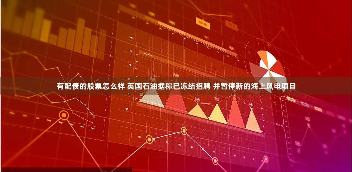 有配债的股票怎么样 英国石油据称已冻结招聘 并暂停新的海上风电项目