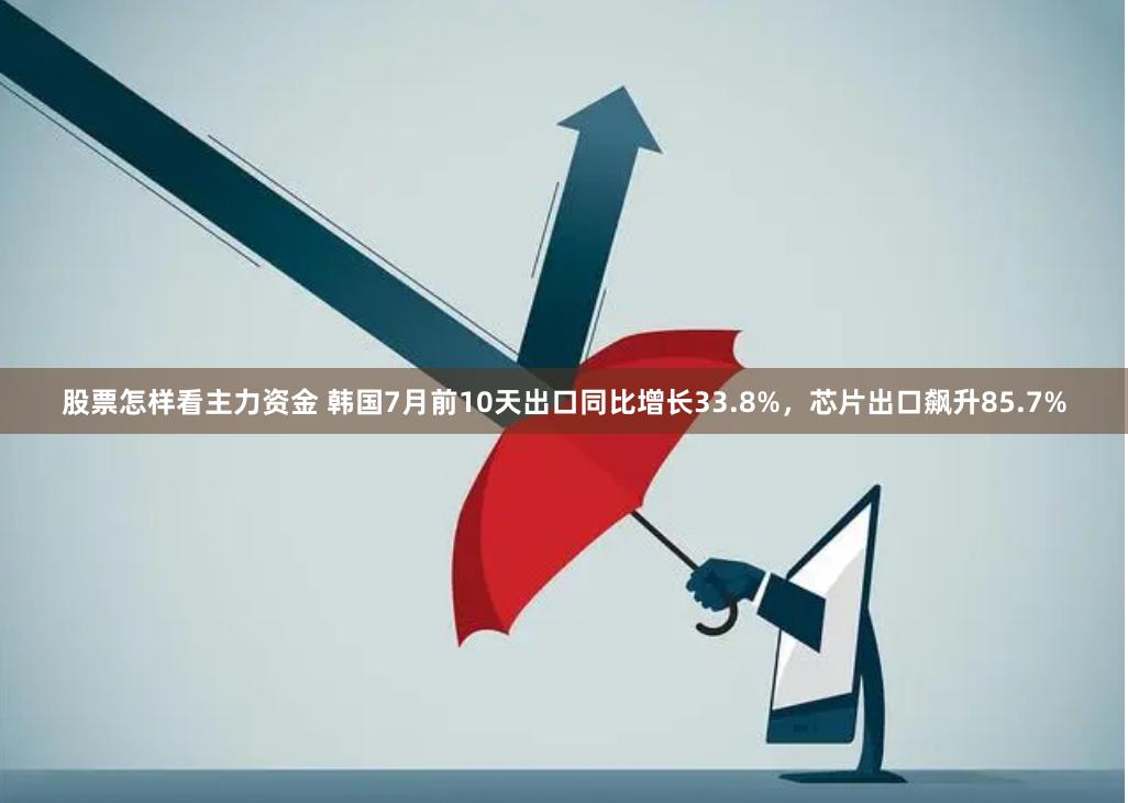 股票怎样看主力资金 韩国7月前10天出口同比增长33.8%，芯片出口飙升85.7%
