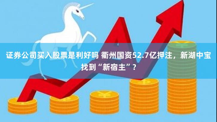 证券公司买入股票是利好吗 衢州国资52.7亿押注，新湖中宝找到“新宿主”？
