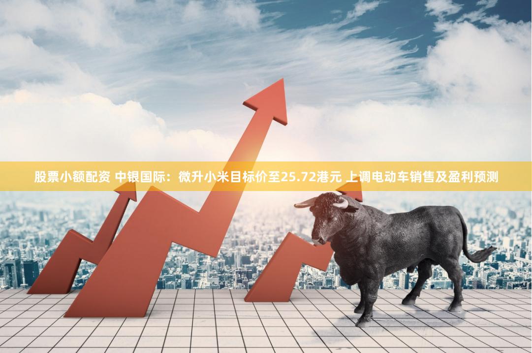 股票小额配资 中银国际：微升小米目标价至25.72港元 上调电动车销售及盈利预测