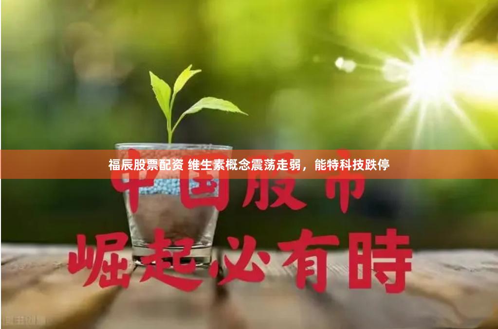 福辰股票配资 维生素概念震荡走弱，能特科技跌停