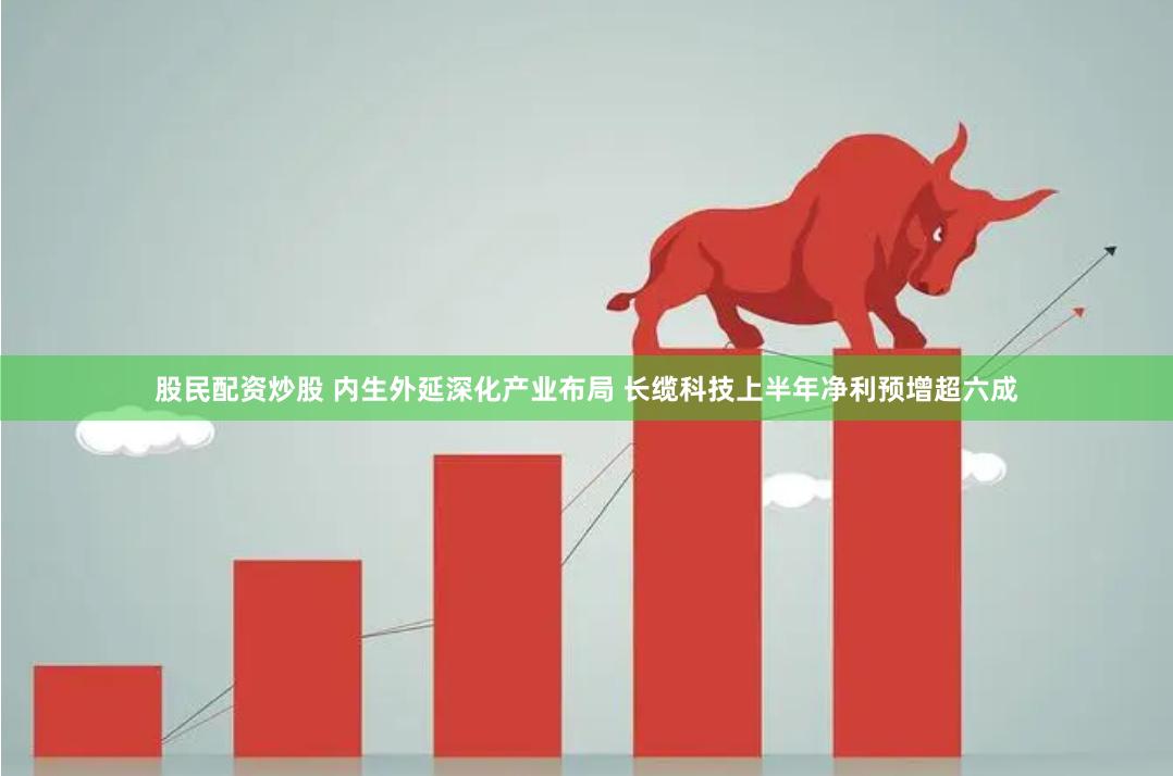 股民配资炒股 内生外延深化产业布局 长缆科技上半年净利预增超六成