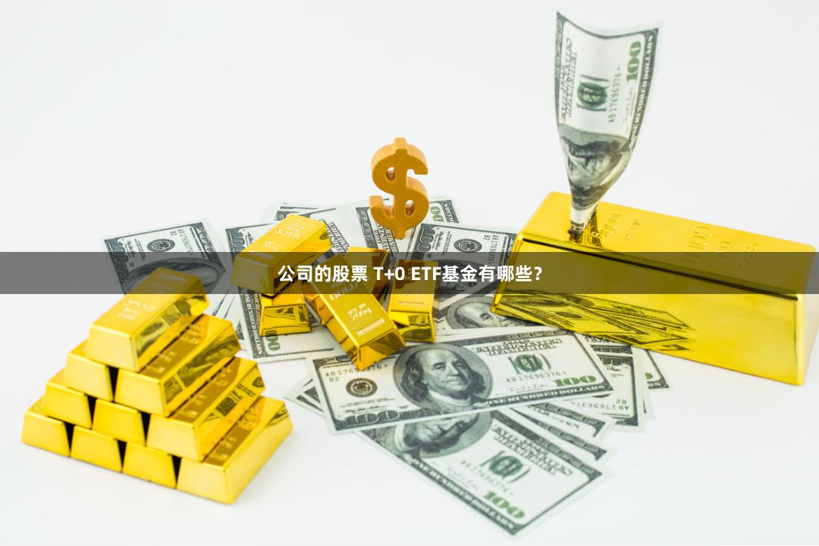 公司的股票 T+0 ETF基金有哪些？