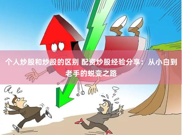 个人炒股和炒股的区别 配资炒股经验分享：从小白到老手的蜕变之路