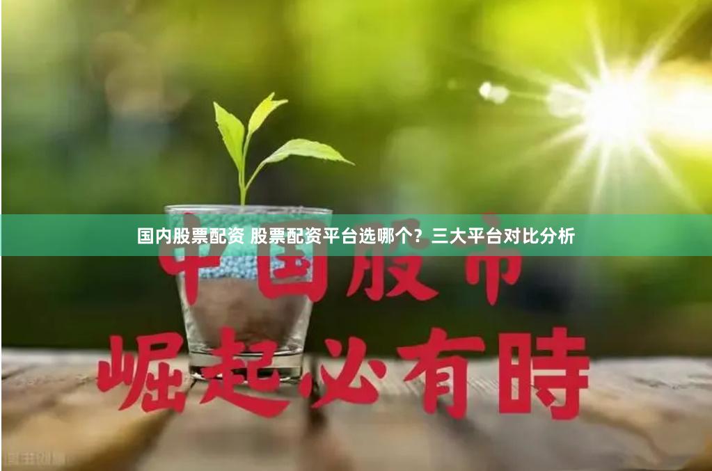 国内股票配资 股票配资平台选哪个？三大平台对比分析