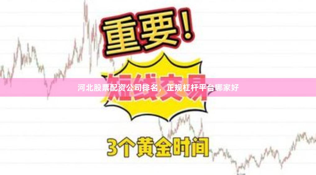 河北股票配资公司排名，正规杠杆平台哪家好