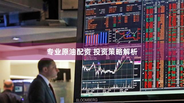专业原油配资 投资策略解析