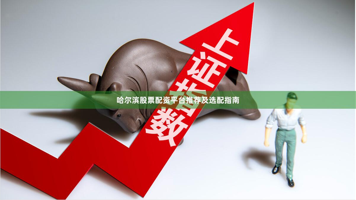 哈尔滨股票配资平台推荐及选配指南