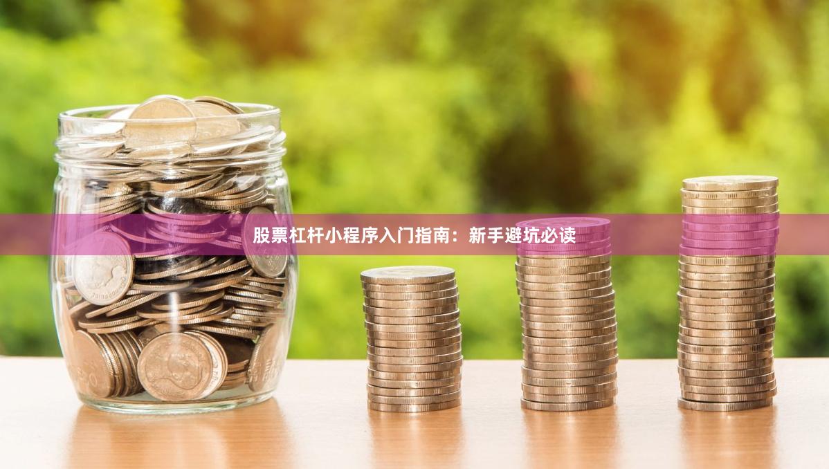 股票杠杆小程序入门指南:新手避坑必读